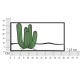 Falitáblák Kaktusz 60x1,3x33 cm