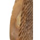 Érmes Szobor Teak 30x1,5x40 cm Érmes Szobor Teak 30x1,5x40 cm