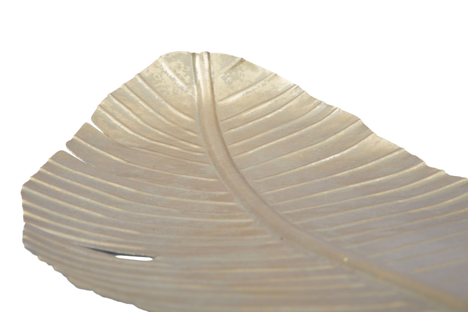 Decor Leaf Glam -B-Cm 18x2x55 cm Decor Leaf Glam -B-Cm 18x2x55 cm