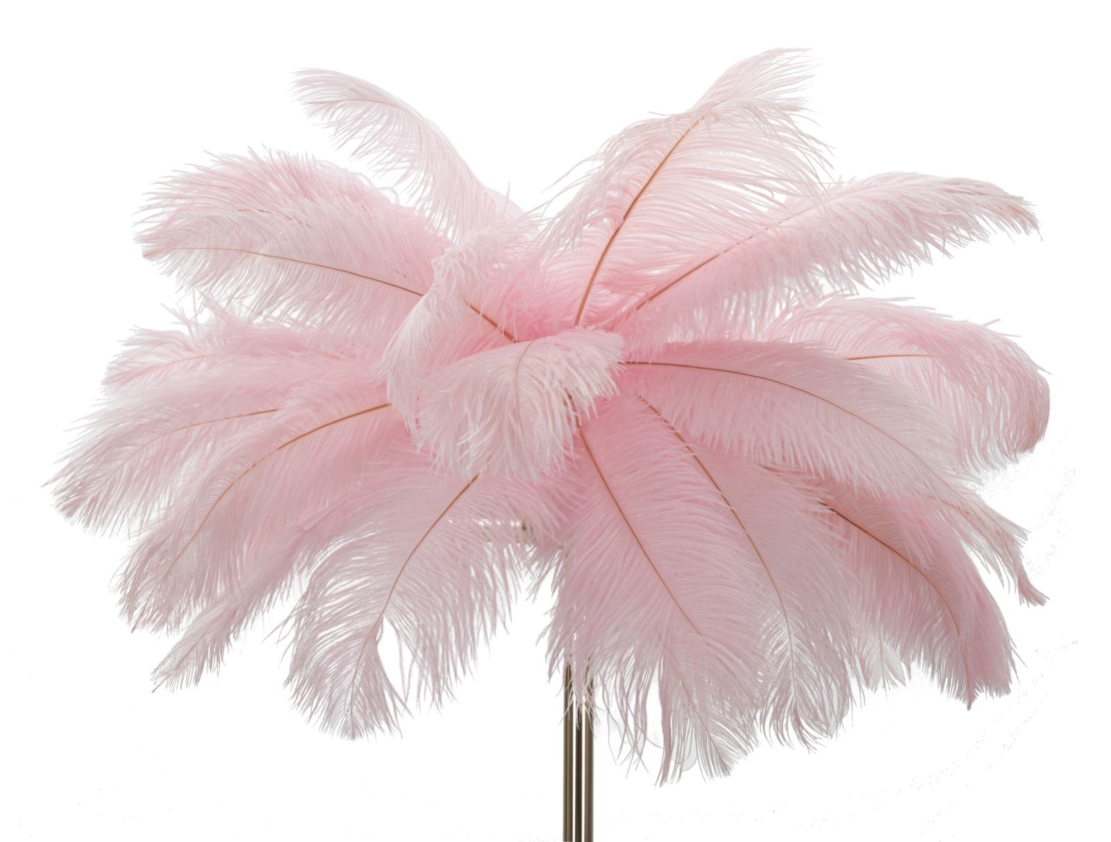 Állólámpa Palm Pink Ø 55x160 cm Állólámpa Palm Pink Ø 55x160 cm