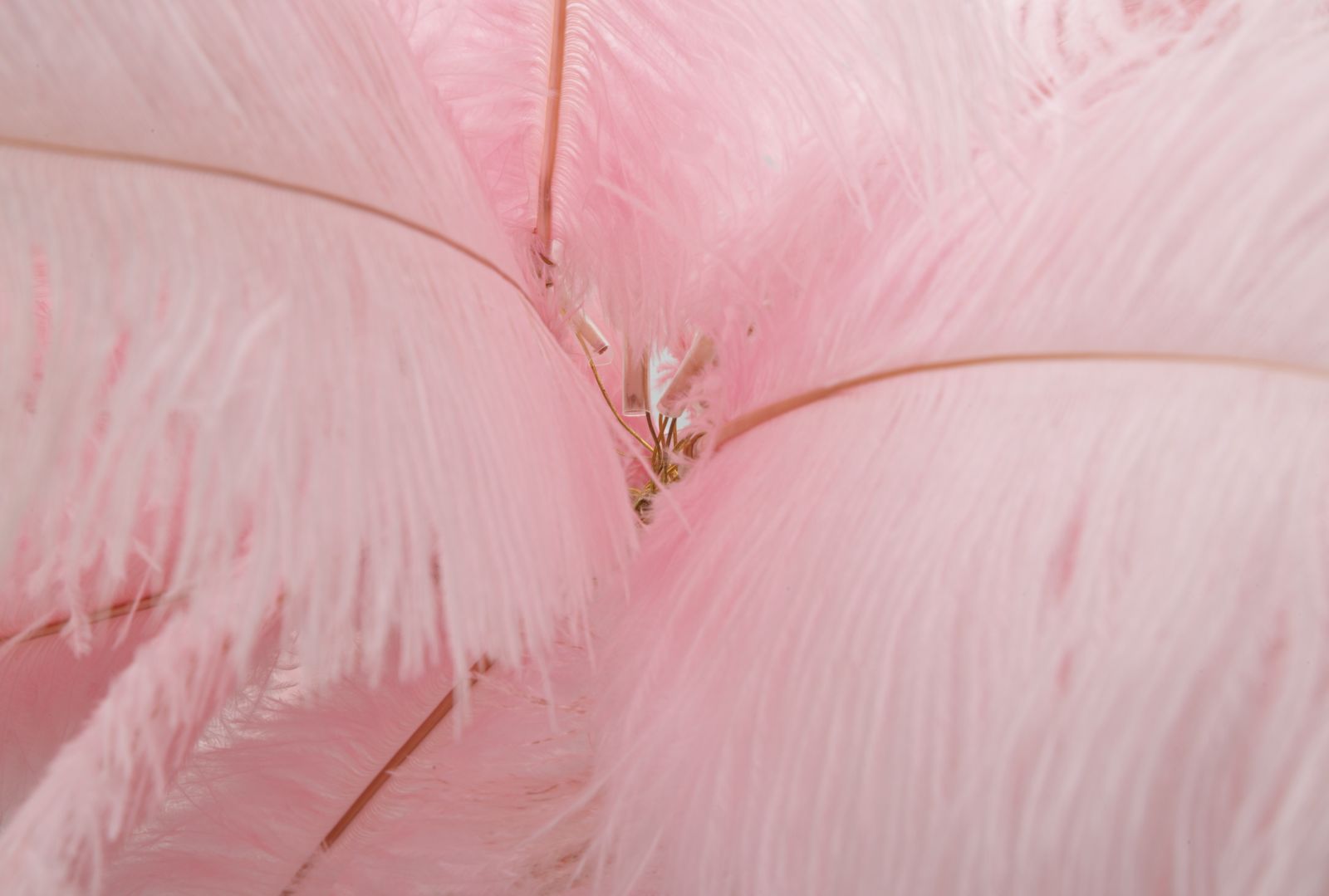 Állólámpa Palm Pink Ø 55x160 cm Állólámpa Palm Pink Ø 55x160 cm