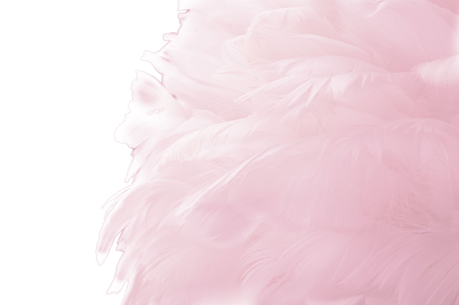 Állólámpa Slim Pink Ø 50x165 cm Állólámpa Slim Pink Ø 50x165 cm