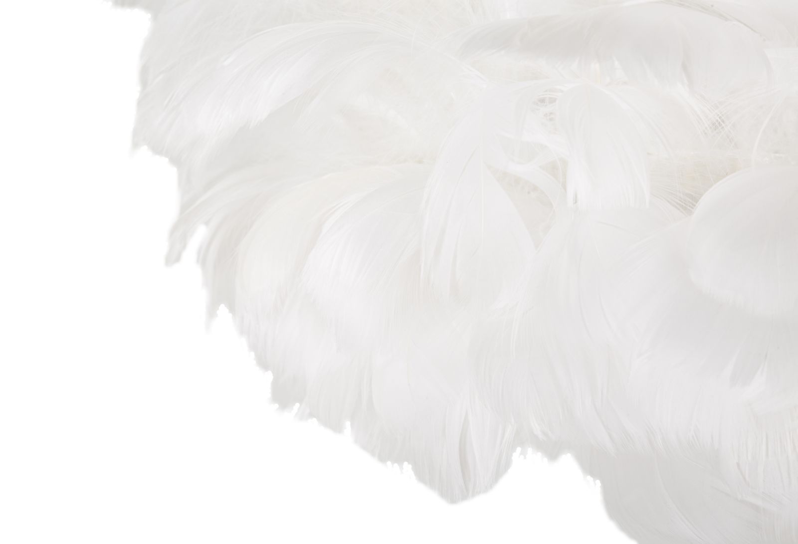 Feathers Slim Fehér Állólámpa Ø 43x170 cm Feathers Slim Fehér Állólámpa Ø 43x170 cm