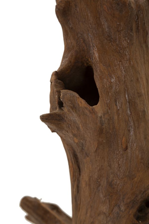 Akar Szobor Teak 23x27x64 cm Akar Szobor Teak 23x27x64 cm
