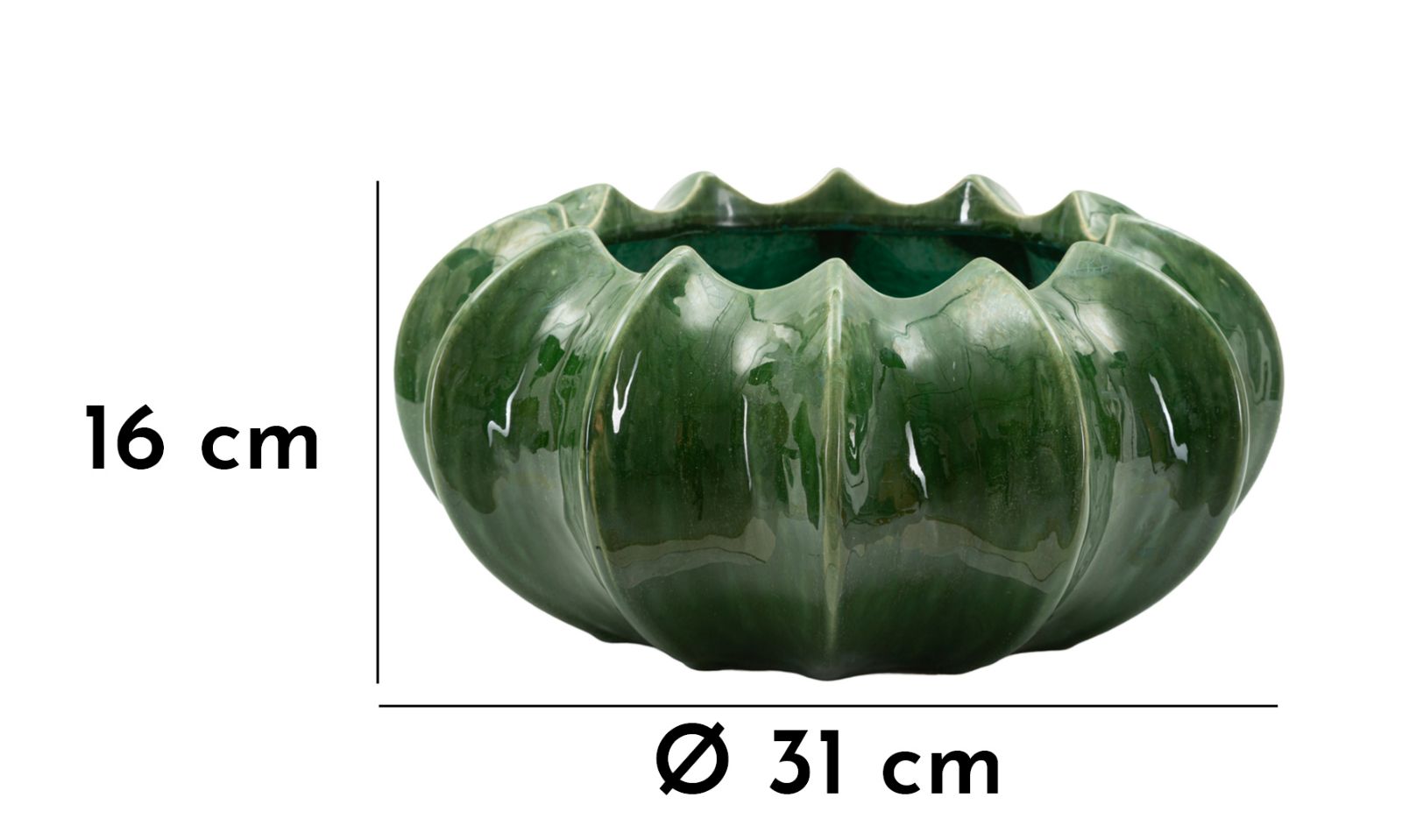 Cm Kaktuszos Kosár Ø 31 x 16 cm Cm Kaktuszos Kosár Ø 31 x 16 cm